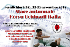 Seminario autunnale 2014 Koryu Uchinadi Italia