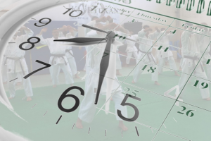 Karate Cesena: il calendario corsi 2015-16 è online