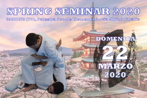 Spring Seminar 2020