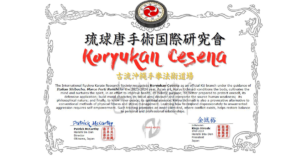 Koryukan Cesena - Shibu Dojo IRKRS 2023-2024